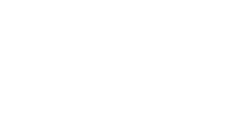 Aries Systems logo