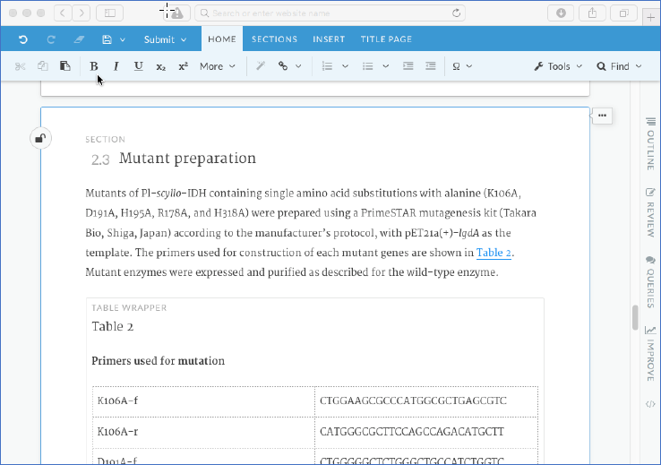 Word processor-like editing environment