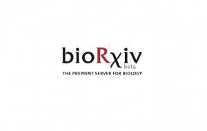 bioRxiv logo